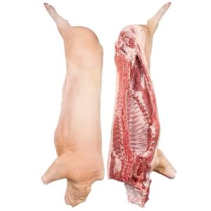 Frozen Pork Carcass