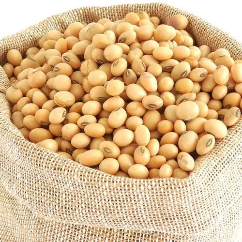 Soya Bean - Image 2