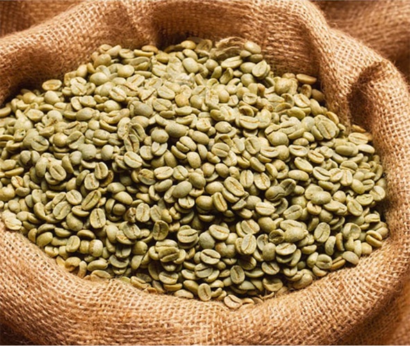 ARABICA AND ROBUSTA COFFEE BEANS - Image 5
